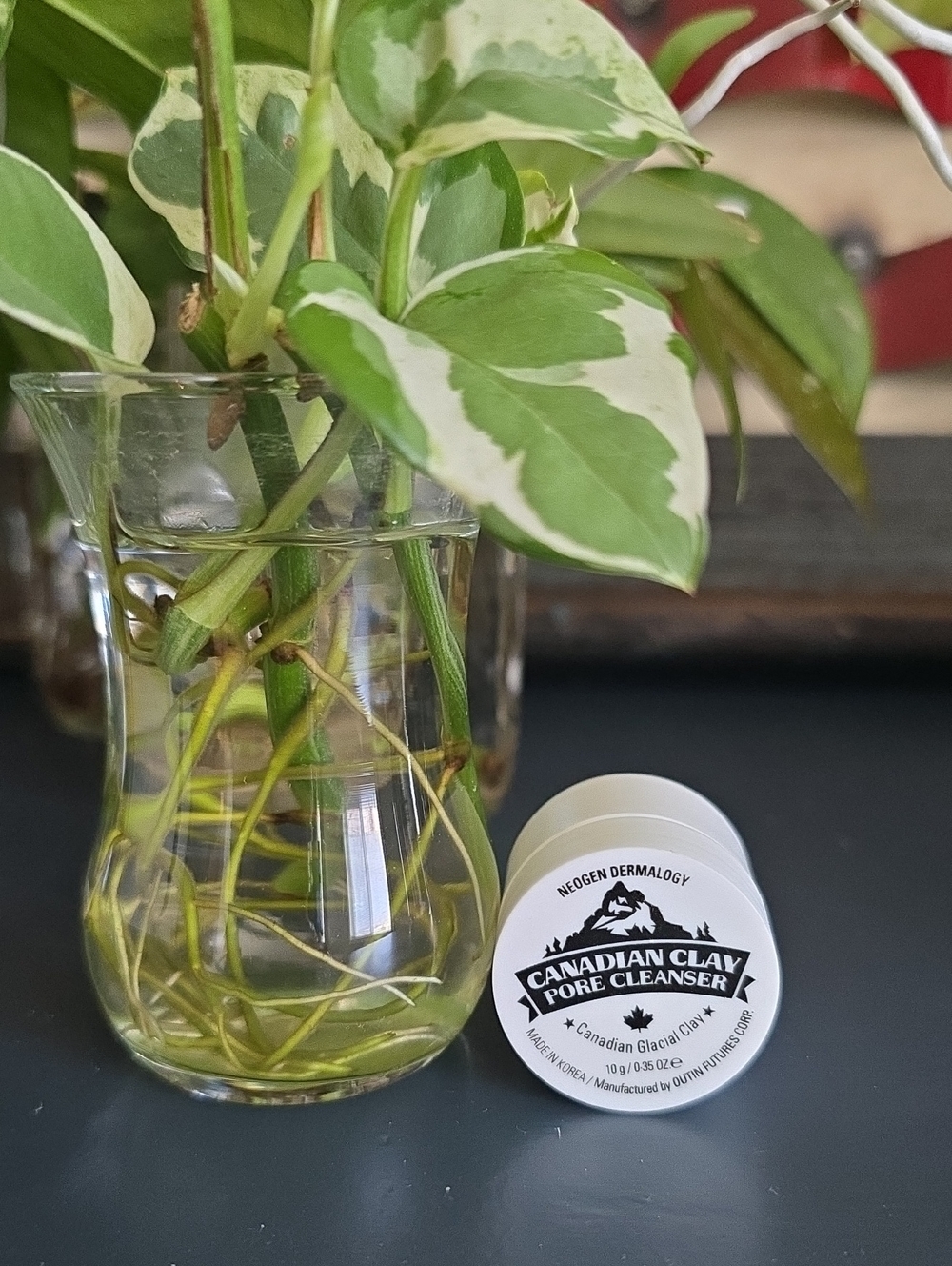 9/29 Canadian Clay Pore Cleanser